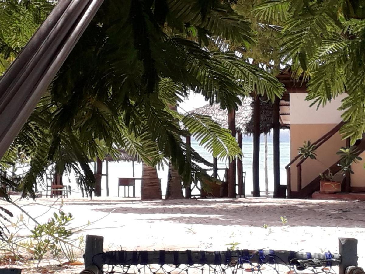 דירות קיזימקזי Tayana Place מראה חיצוני תמונה