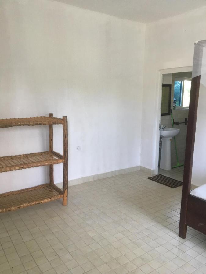 דירות קיזימקזי Tayana Place מראה חיצוני תמונה